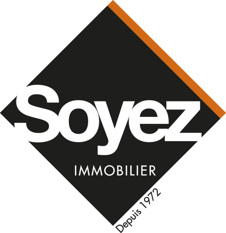 NOUVEAU LOGO AGENCE 768x793